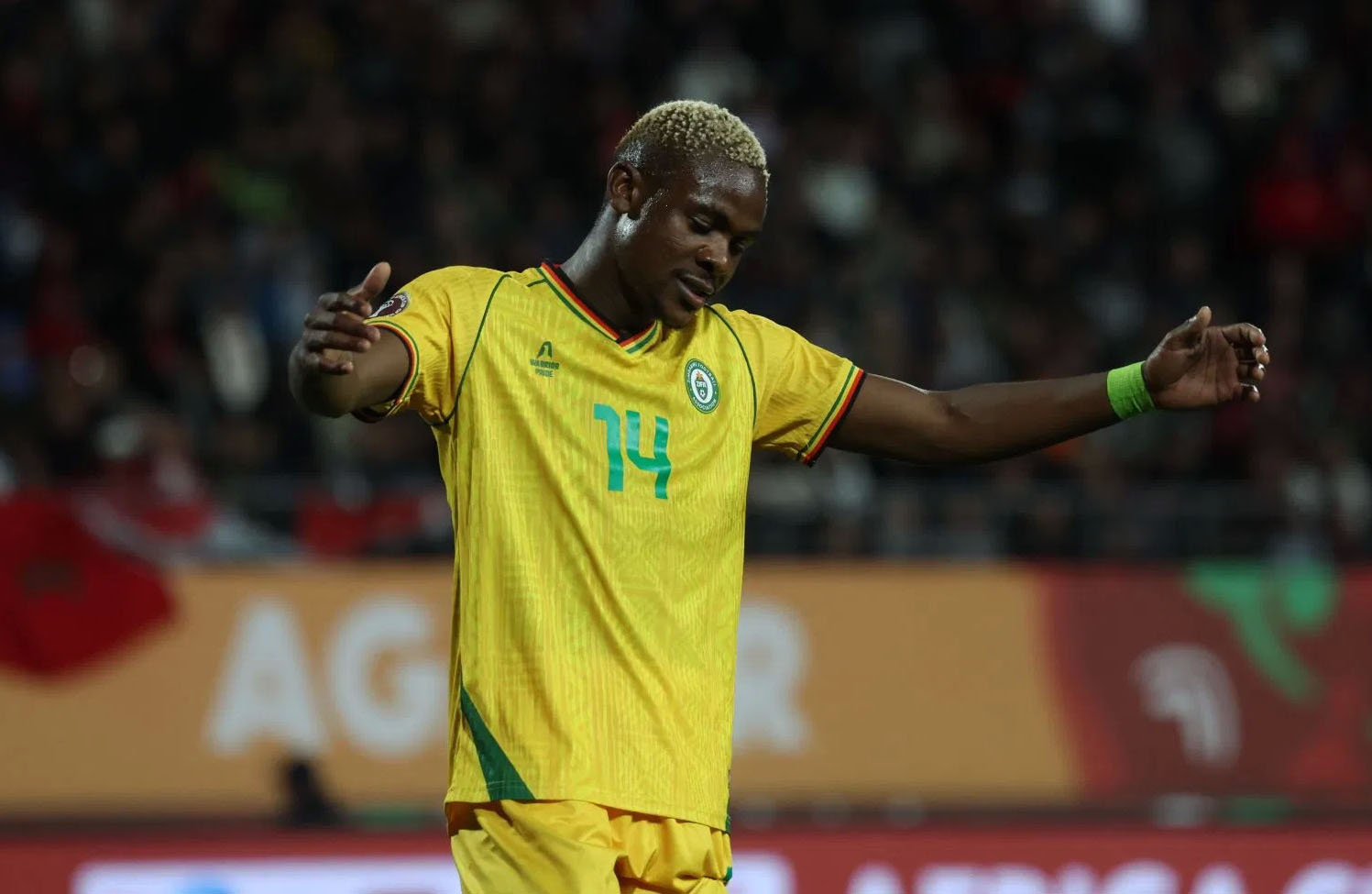 Nhận định, Soi tỷ lệ k&egrave;o Zimbabwe vs Nam Phi 22h00 ng&agrave;y 20/12: Hy vọng mong manh - Ảnh 1