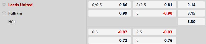 Nhận định, Soi tỷ lệ k&egrave;o Leeds vs Fulham 22h00 ng&agrave;y 17/1: Chia điểm tại Elland Road - Ảnh 5