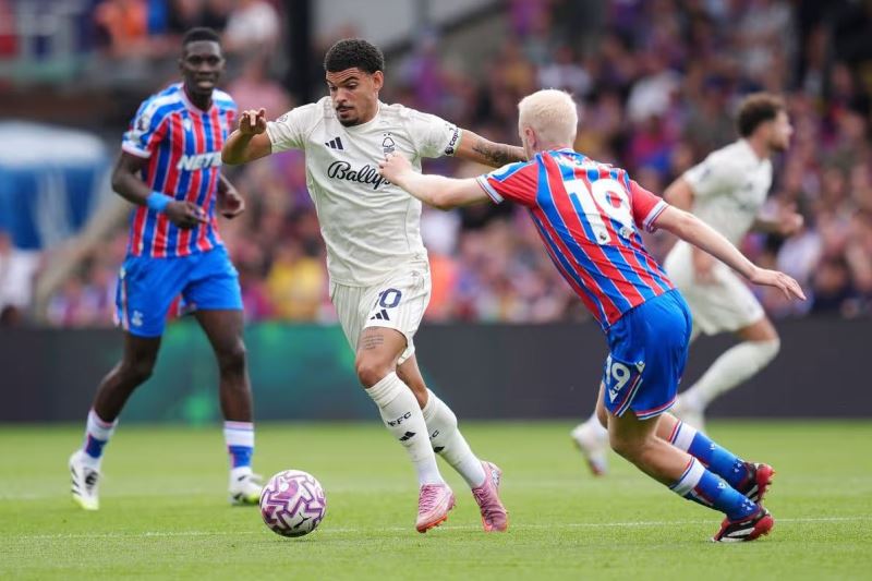 Nhận định, Soi tỷ lệ k&egrave;o Nottingham vs Crystal Palace 21h00 ng&agrave;y 01/02: Điểm tựa City Ground - Ảnh 1