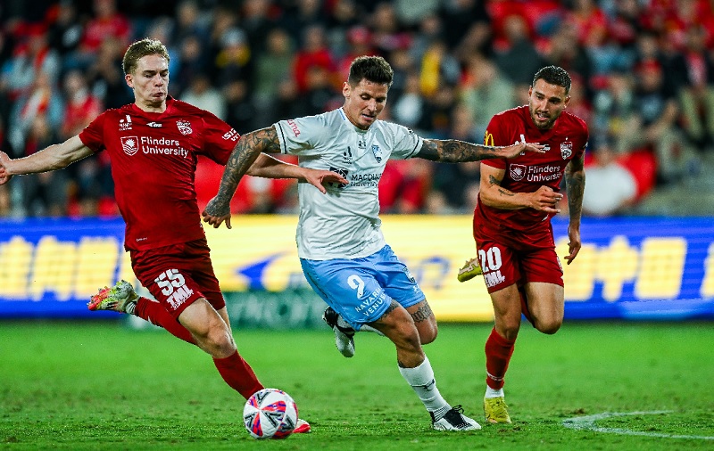 Nhận định, Soi tỷ lệ k&egrave;o Sydney vs Adelaide 15h35 ng&agrave;y 14/2: Giật lại 1 điểm  - Ảnh 1