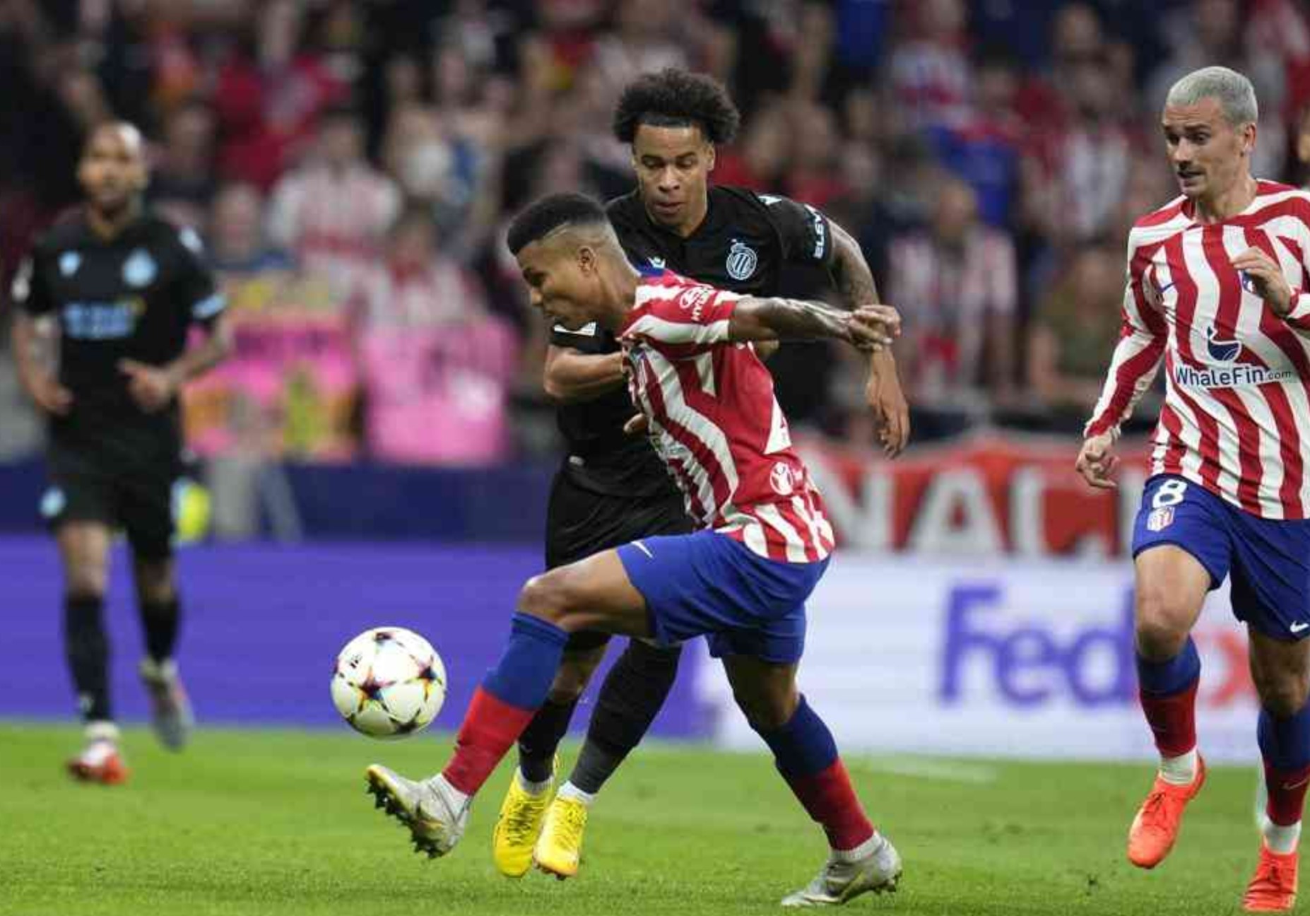 Nhận định, Soi tỷ lệ k&egrave;o Club Brugge vs Atletico Madrid 3h00 ng&agrave;y 19/2: Kh&aacute;ch sa lầy! - Ảnh 1