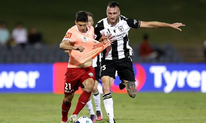 Nhận định, Soi tỷ lệ kèo Adelaide vs Macarthur 16h05 ngày 30/1: Trên đà hưng phấn