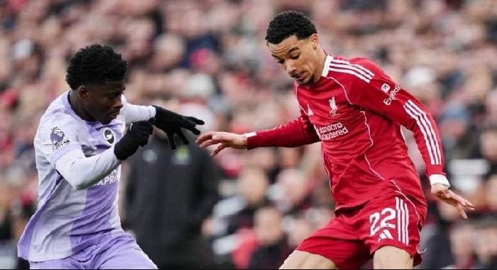 Nhận định, Soi tỷ lệ kèo Liverpool vs Brighton 3h00 ngày 15/2: Quá khứ tái hiện